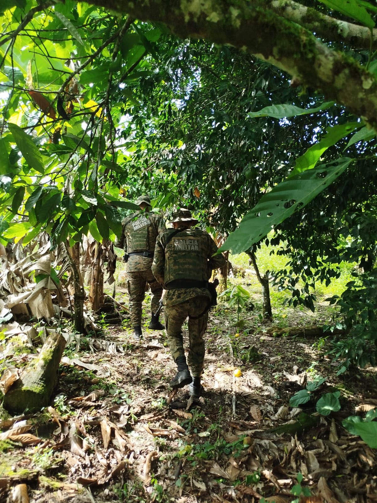 CIPPA apreende animais silvestres e identifica desmatamento no sul da Bahia