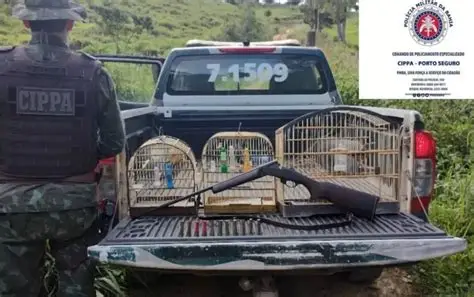 CIPPA apreende animais silvestres e identifica desmatamento no sul da Bahia