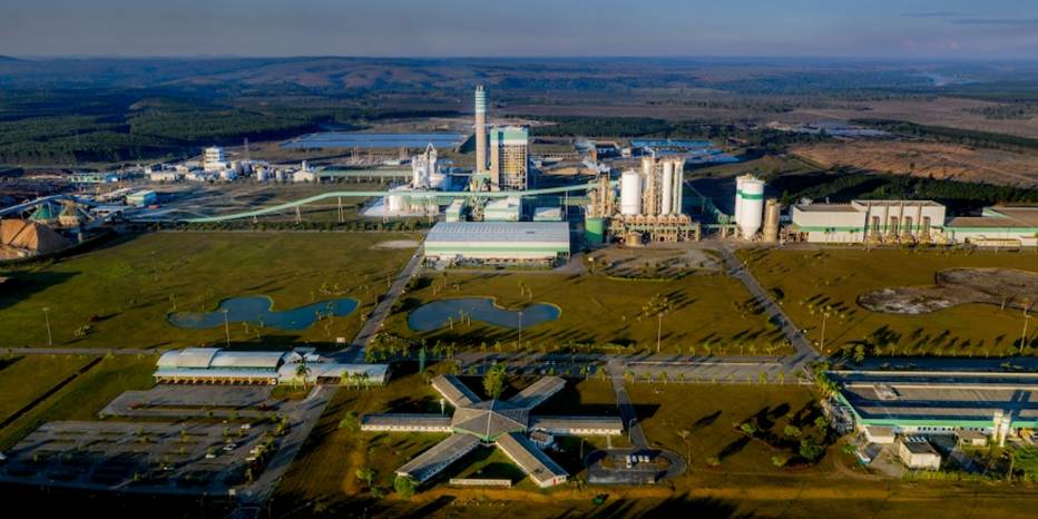 Veracel abre oportunidade para Analista de Planejamento Florestal Sênior
