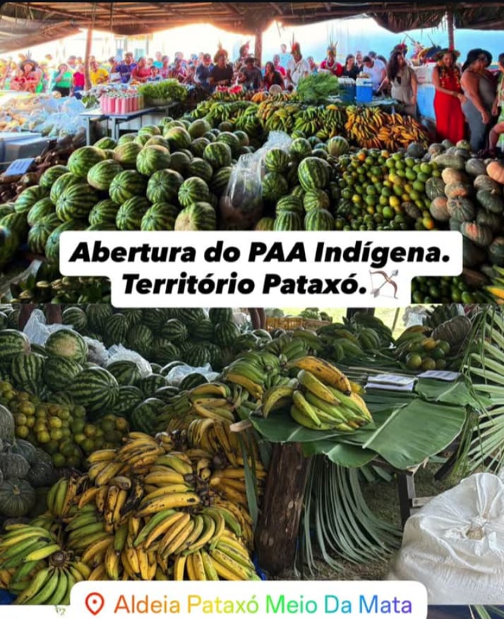 Programa de Aquisição de Alimentos Indígenas é retomado em Porto Seguro e fortalece comunidades Pataxó
